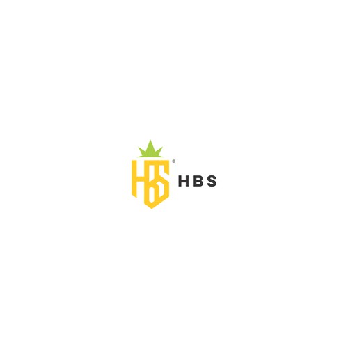 Design Rebranding HBS logo for construction company di chesta