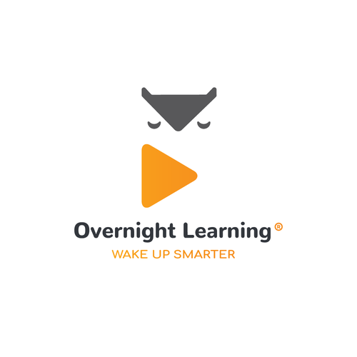 Fun Owl Concept Design by Marija Djukic