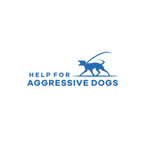 how to help an agressive dog