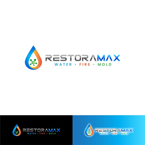 Restoration Company Branding. Design by RaccoonDesigns®
