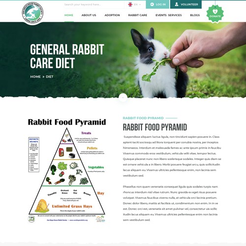 Designs | A website layout refresh for a rabbit rescue and shelter ...