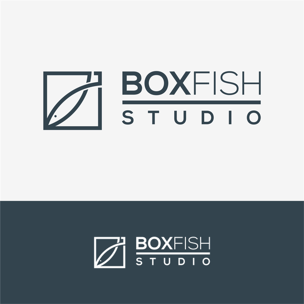 boxfish studio