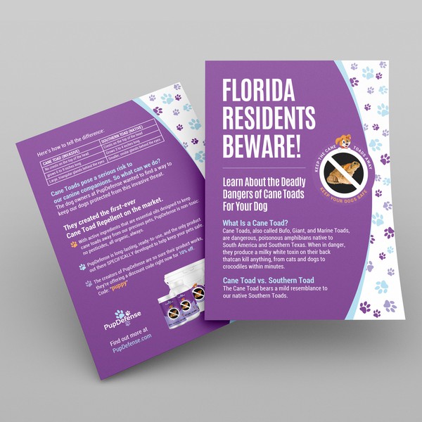 Flyer and Poster Design