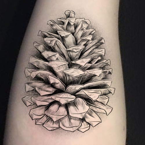 Pine Cone Tattoo Design Design by ANTICON