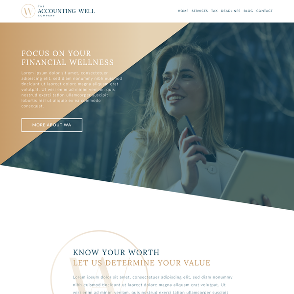 The Accounting Well Company Website
