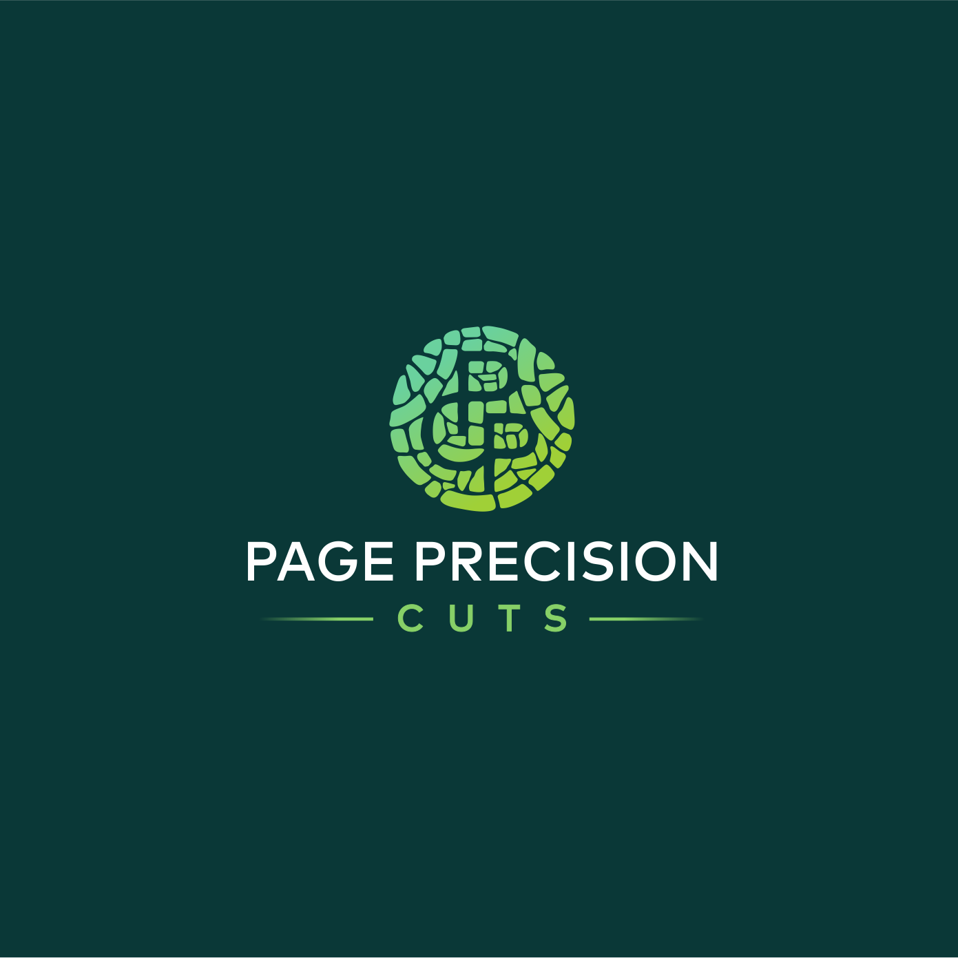 Precision Logos - Free Precision Logo Ideas, Design & Templates