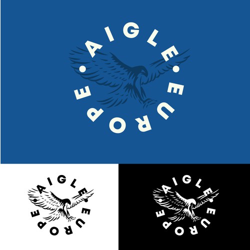 Logo & brand identity pack contest entry by david sierra design