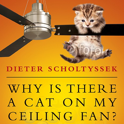 Book Cover for "Why is there a Cat on my Ceiling Fan?" Design by line14