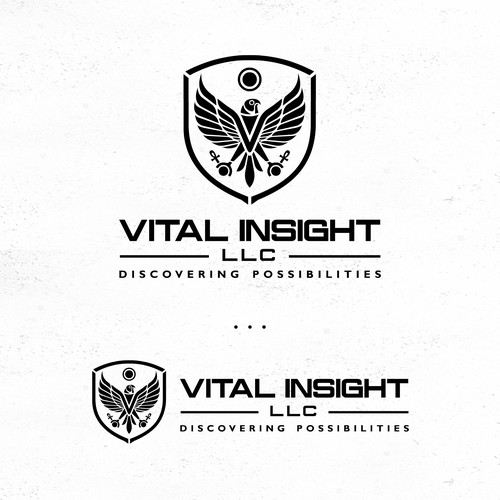 Redesign an Egyptian Image for a New Consulting Firm Design by jimzz