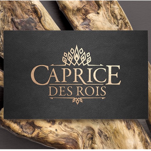 Logo & brand identity pack contest entry by haganhuga