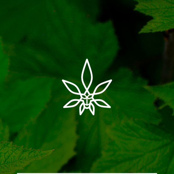 Design by NASRAH titled "Veda Warrior"