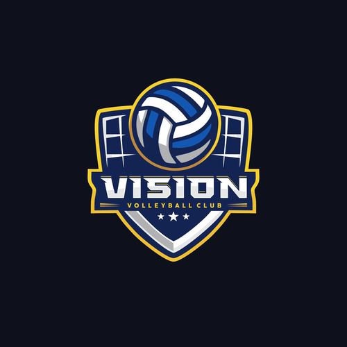 Vision Volleyball Club Design by Arto!