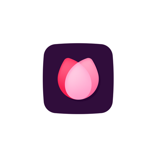 Popular Dating App - Logo & Brand Guide Design by mr.giraffe.design