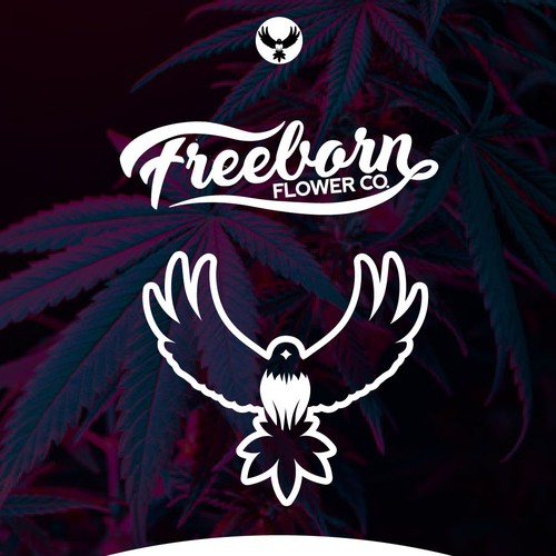 Logo and branding for a North Carolina cannabis and lifestyle brand Design by 3AM3I