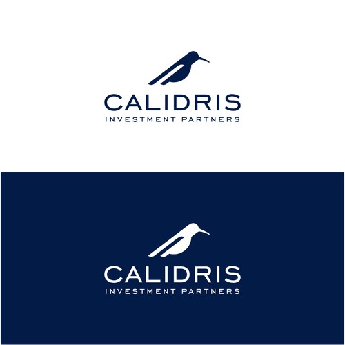 New Private Investment Firm Design by bo_rad