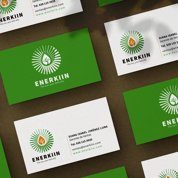Enerkin Logo Design