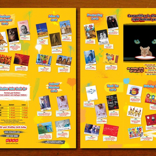 Fun, Colorful, Bold Product Brochure