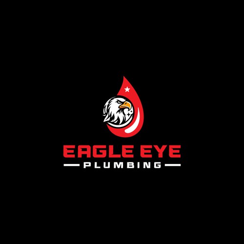Eye catching and very marketable logo for plumbing company. The company name is Eagle Eye Plumbing Design by JakirVector