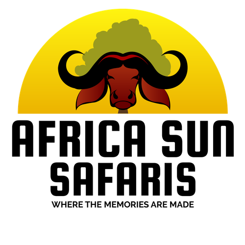 safaris logo ideas
