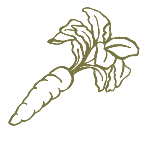 FFTY-Icons-Carrot.png