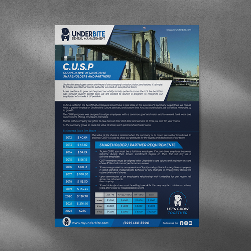 Company Stock Grant Plan Infographic Flyer/document Design by GraphicOcen93