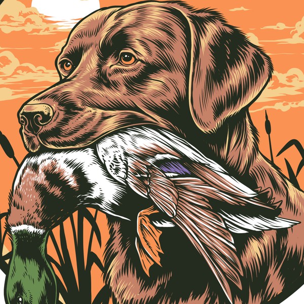 Labrador and Mallard