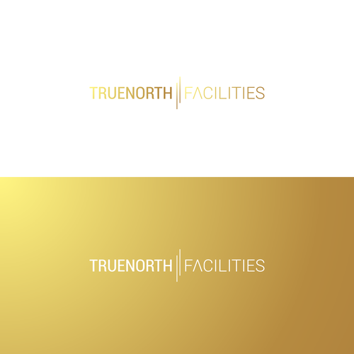 “Modern Brand Identity for a Young, Tech-Enabled Facilities Holding Company”  Alternative variations Design by RMMO™