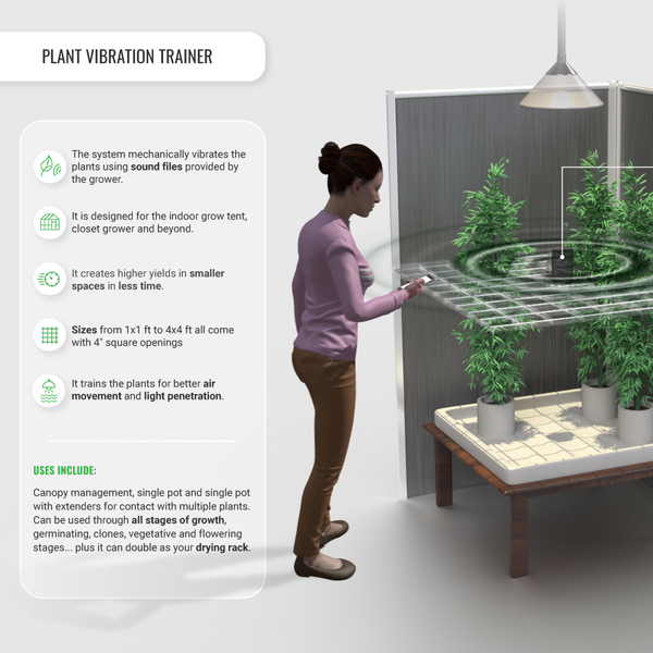 Design by Dario Tulian titled "Infographic"