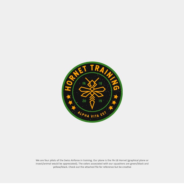 Logo Concept for Hornet Training