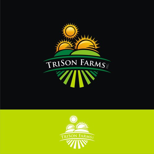 Create a modern logo incorporating 3 suns/agriculture for a well known Canadian marketing company Réalisé par heosemys spinosa