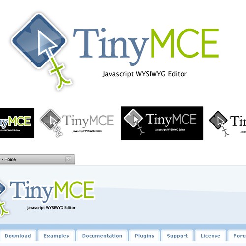 Logo for TinyMCE Website Réalisé par bdichiara