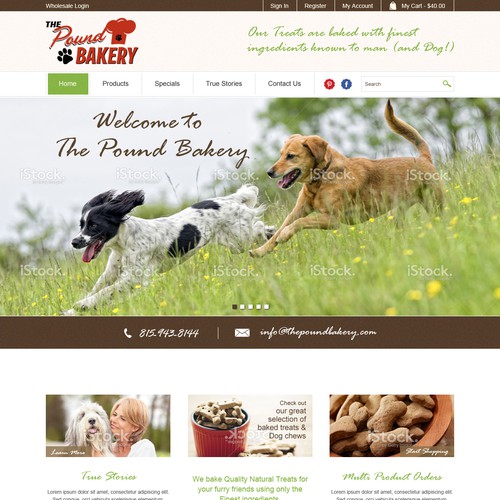 Homepage design for ecommerce company pet treats manufacturer