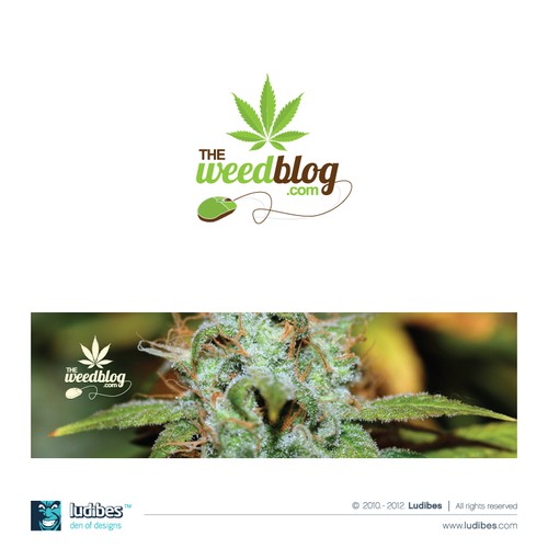 Dry Weed Is No Good - Culture Marijuana Blog - THC Finder - THC Finder