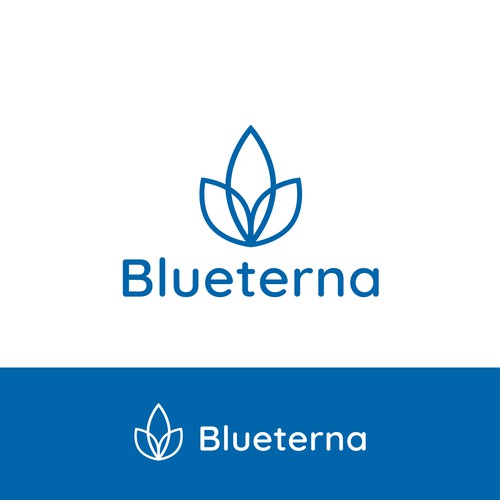 Blueterna Branding contest Design by JcaraxGD