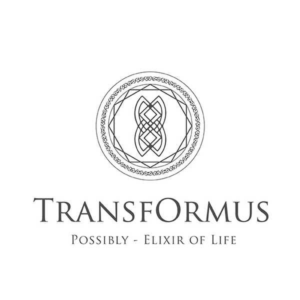 Design by Shiwa95Arts titled "Logo design concept for TransfOrmus"