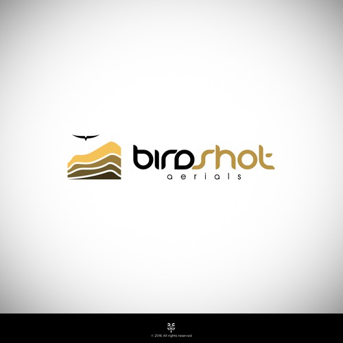 Create a high-flying view for Birdshot Aerials Design by Mastah Killah 187