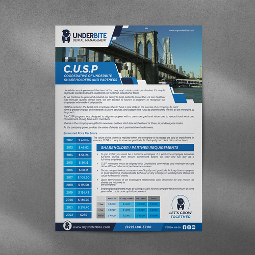 Company Stock Grant Plan Infographic Flyer/document Design by GraphicOcen93