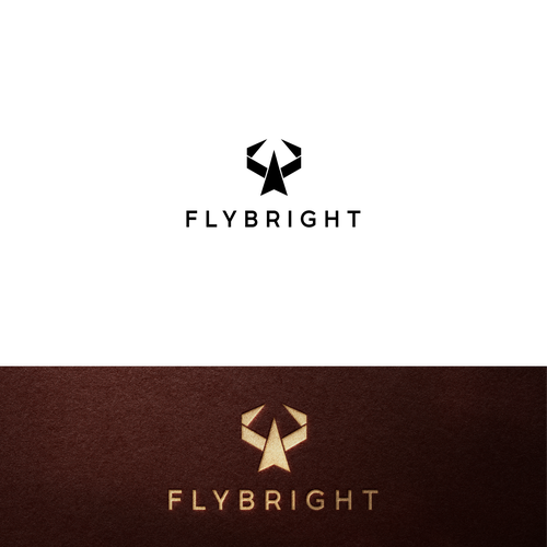 Flight School - High quality career track and recreational flight training. Design by O N I X