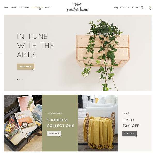 Shopify Website Design