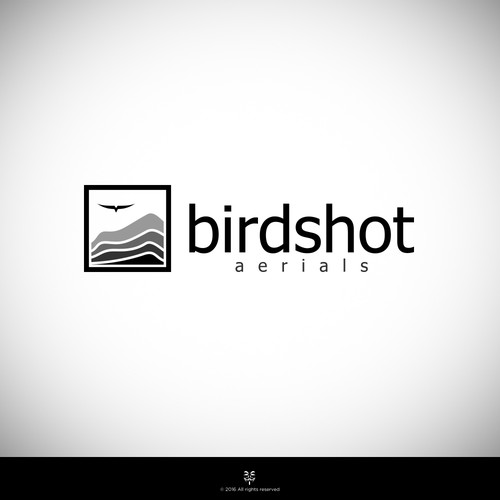 Create a high-flying view for Birdshot Aerials Design by Mastah Killah 187