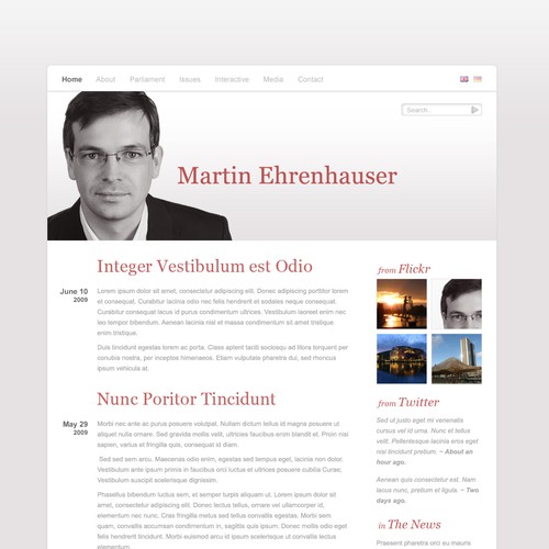 Wordpress Theme for MEP Martin Ehrenhauser Design by BlueStunt