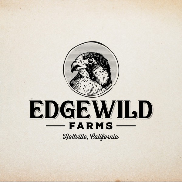 Classic / Vintage Logo Design