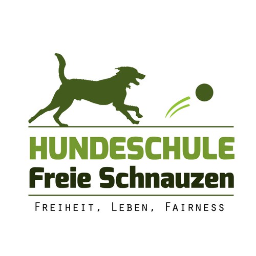  contest entry by Raizzon.com