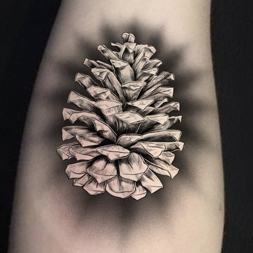 Pine Cone Tattoo Design Design by ANTICON