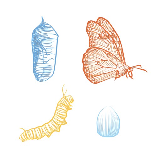 Design butterfly metamorphosis illustrations in a whimsical, sketch-like style for teens Diseño de Kiwari