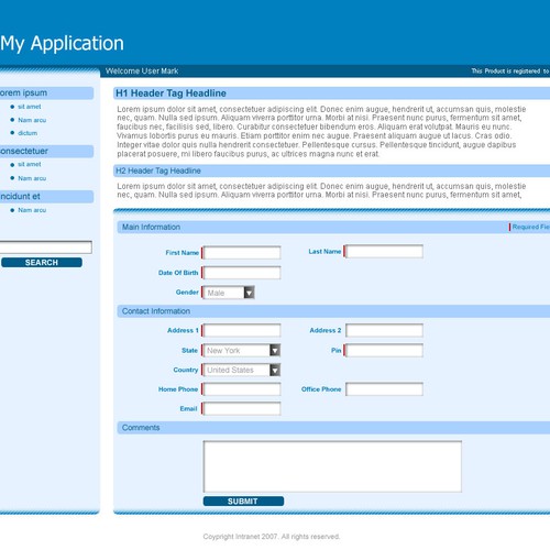 Intranet Application Layout Template | Web Page Design (Coded) contest