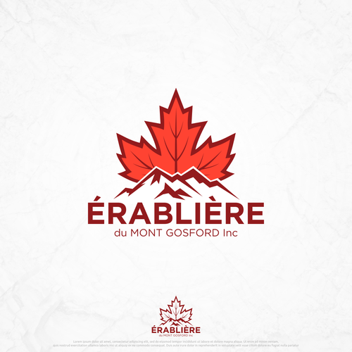  contest entry by petir jingga