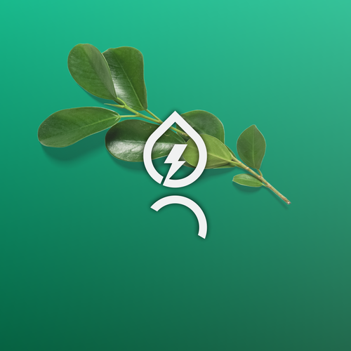 Build  Longevity Brand: Where Science Meets Beauty & Energy Design by pineapple ᴵᴰ