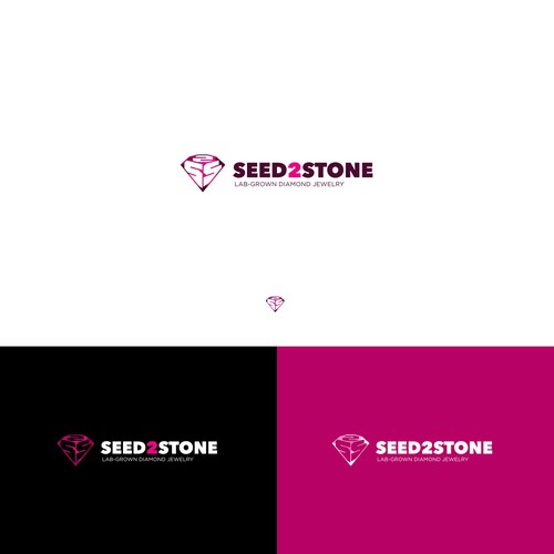 Design di S2S new LOGO di chilibrand