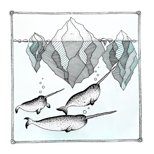 Narwhal artwork design Design by FlavioDP